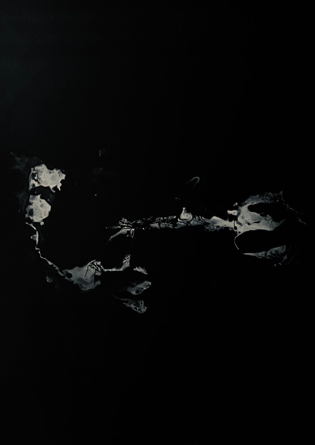 SP69129224