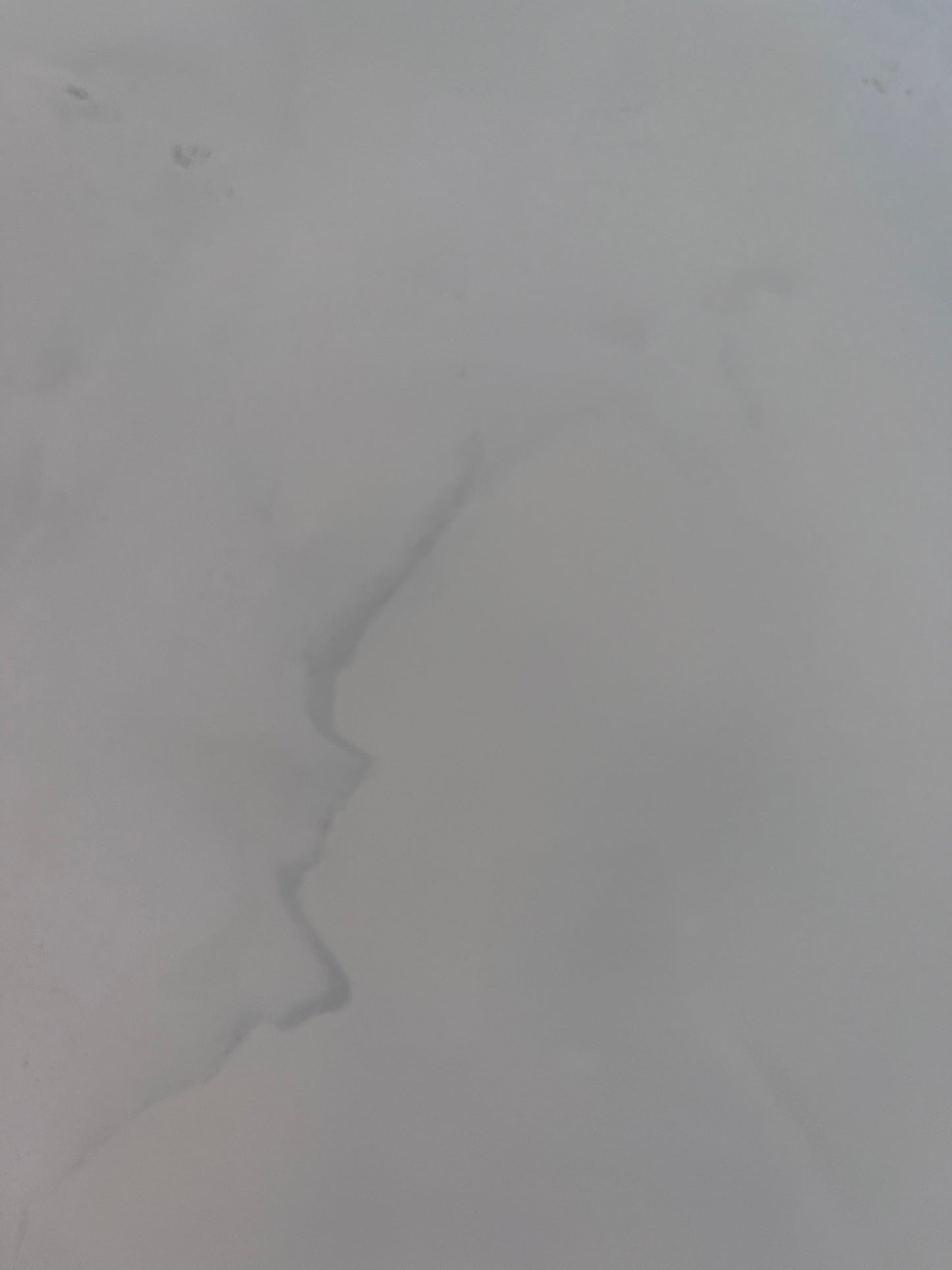 SP8739224