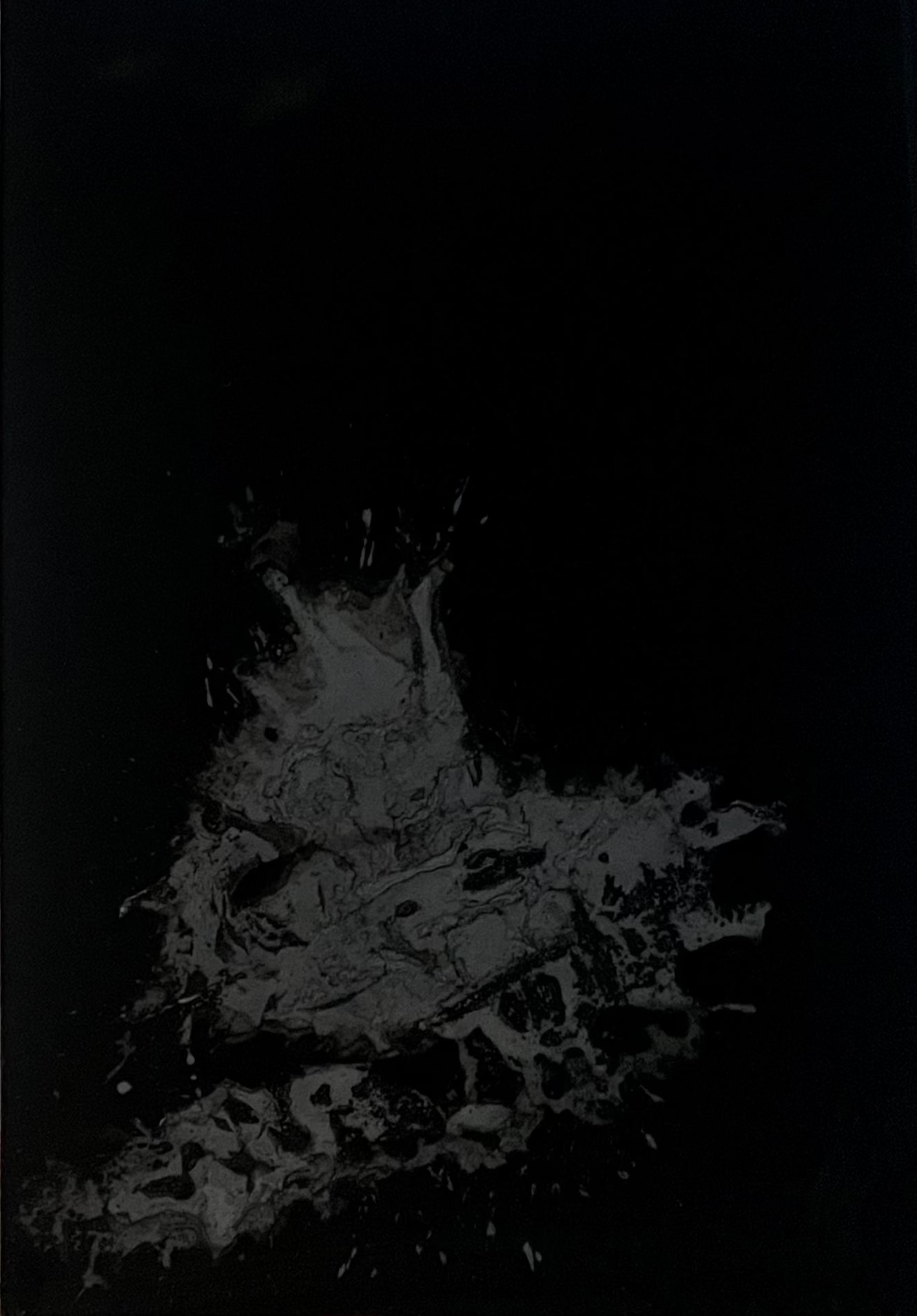 SP12061225