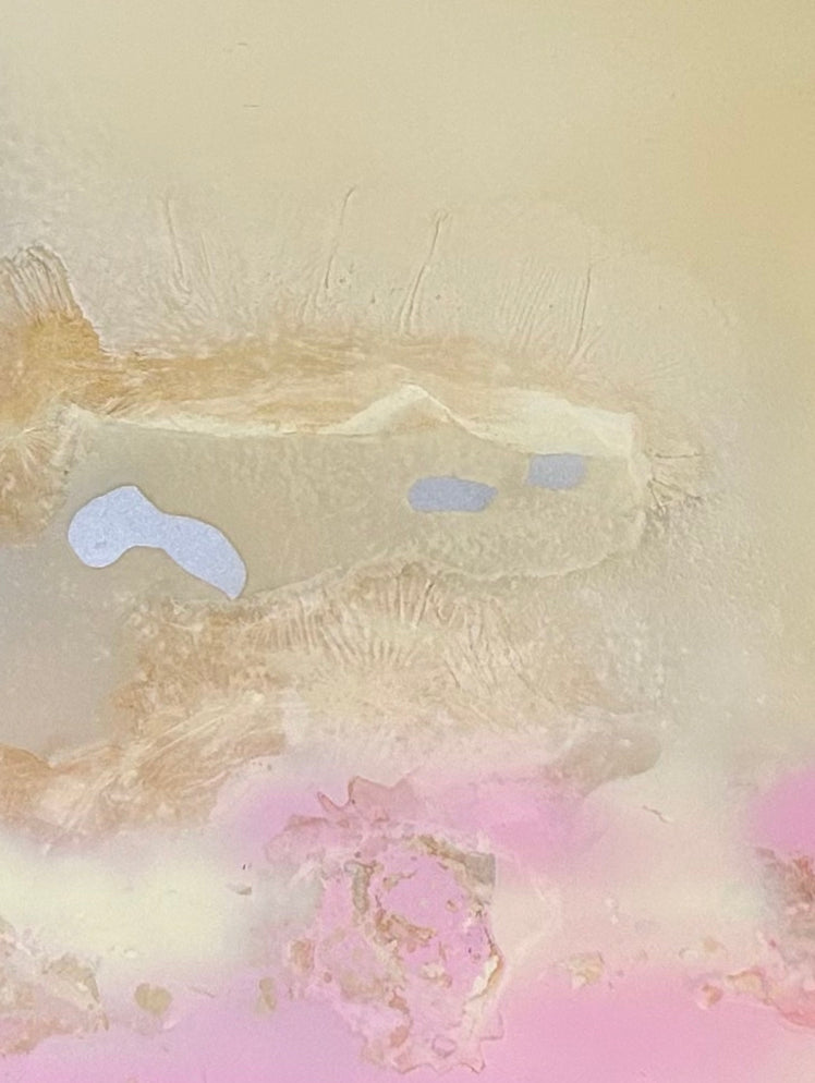 SP156252225
