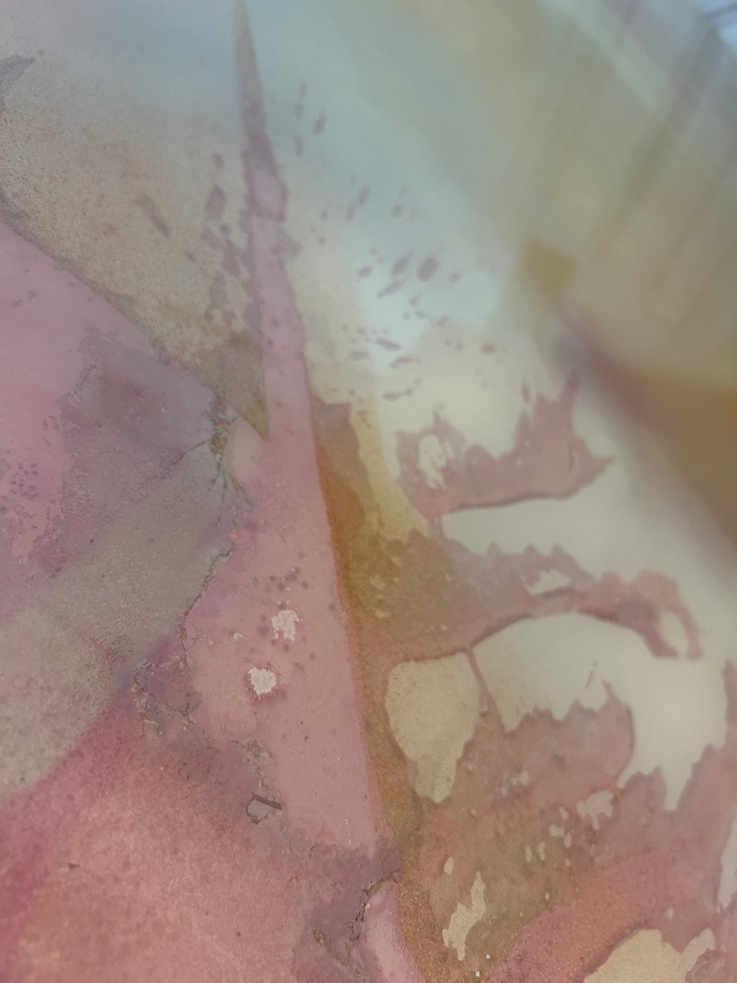 SP212195225