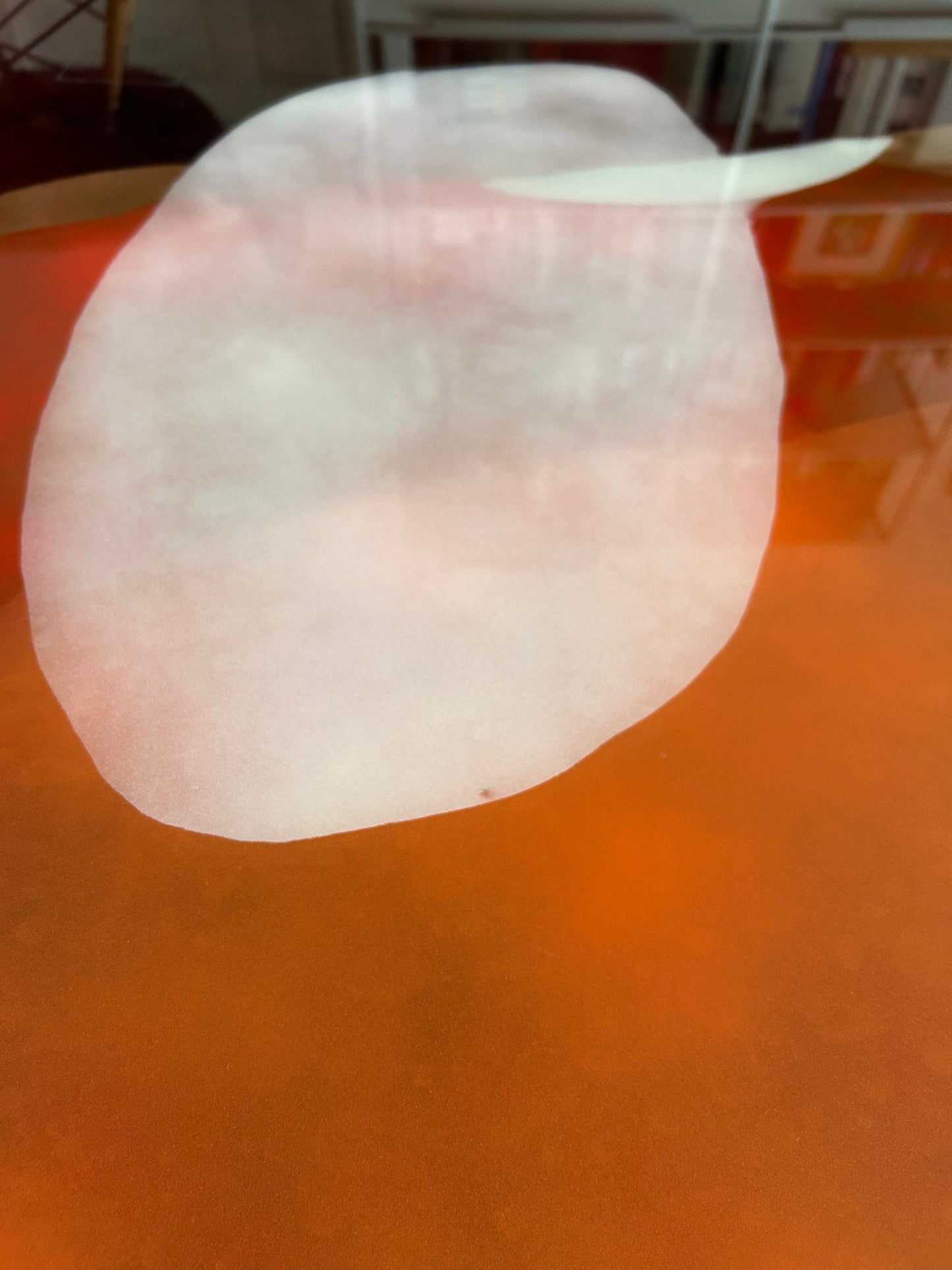 SP24237225