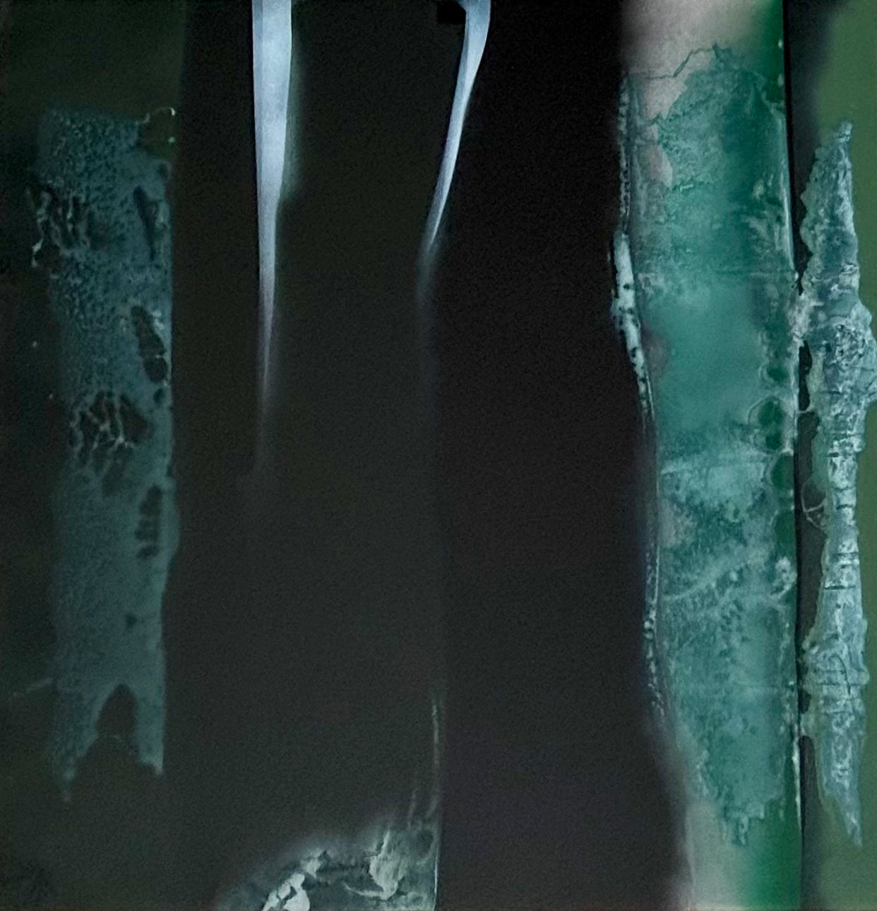 SP264169225