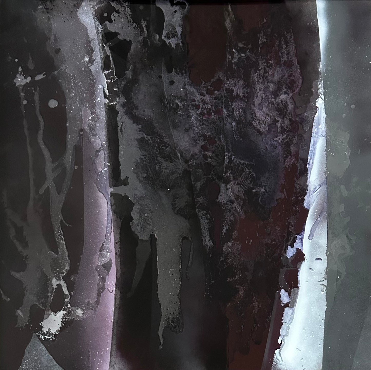 SP278131225