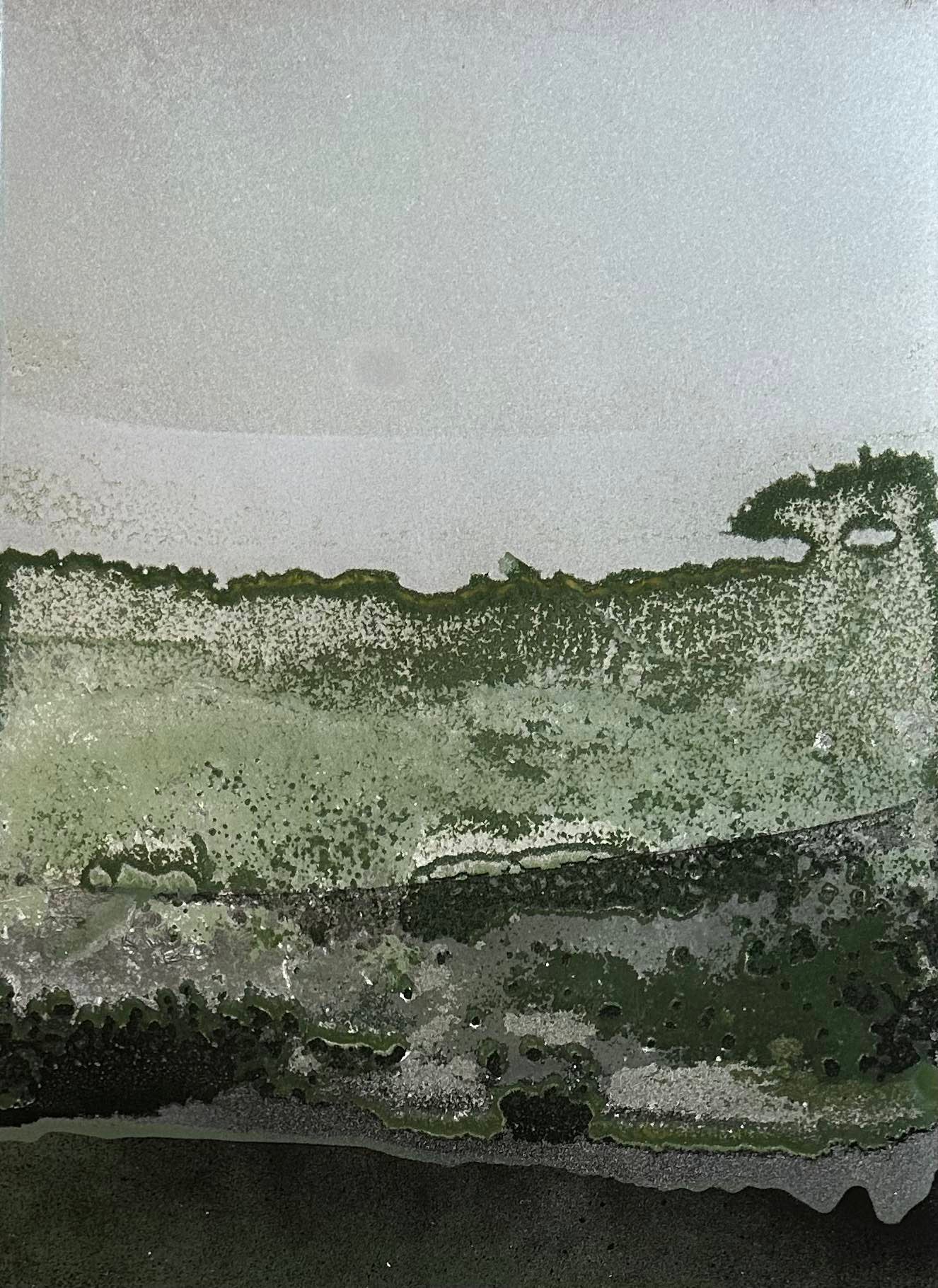 SP231157225