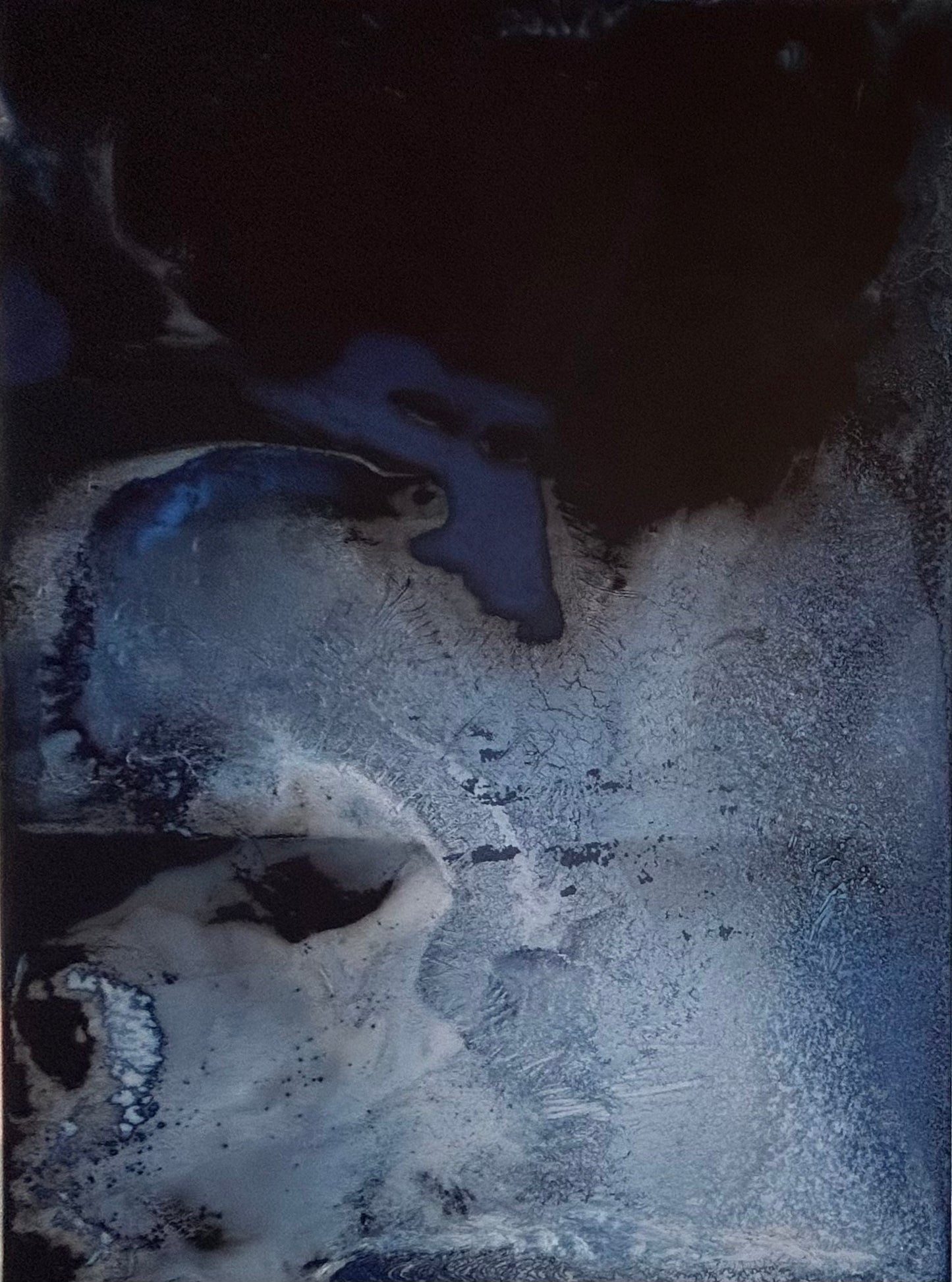 #392 - Arctic